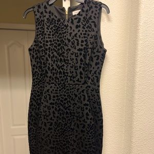 Calvin Klein mid dress